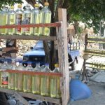 1324235Bensin-eceran-di-TTU-dijual-seharga-Rp-10.000-per-botol-sejak-Agustus-2014-lalu1-780x390