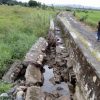Petani Ikut AUTP, Kementan : Kerusakan 75 Persen Diganti 6 Juta Per Hektar