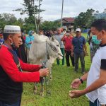 Penyembelihan sapi di Desa Ranteleda (foto:ist)