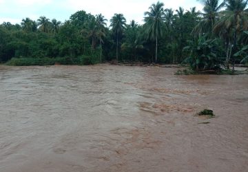 Banjir Terjang Puluhan Hektar Lahan Masyarakat di Touna, Sulteng