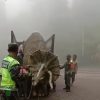 Binatang Raksasa Diturunkan Tentara dari Mobil Truk Mirip Dinosaurus, Begini Videonya!