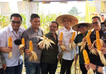 Panen Raya 9 Ton Lebih Satu Hektar, Ketua Kadin Donggala Ajak Petani Tanam Jagung
