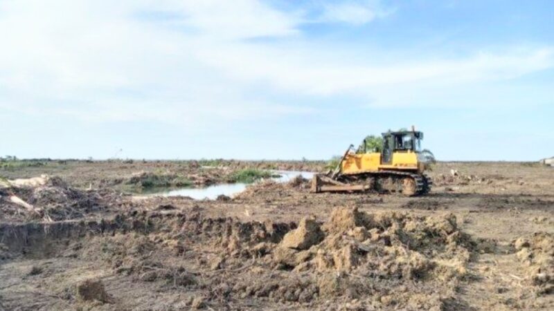 Ketua MCC Minta Hentikan Aktivitas PT BTIIG di Morowali, Diduga Lakukan Illegal Mining