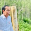 Presiden Jokowi Akan Berkunjung ke IKN, Persiapan Ajak Investor Menuju Ibu Kota Baru