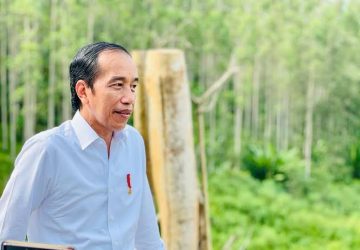 Presiden Jokowi Akan Berkunjung ke IKN, Persiapan Ajak Investor Menuju Ibu Kota Baru