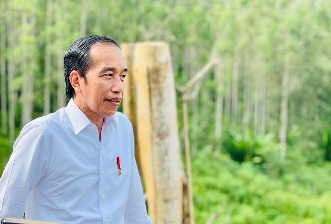 Presiden Jokowi Akan Berkunjung ke IKN, Persiapan Ajak Investor Menuju Ibu Kota Baru