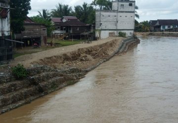 Bronjong Pengaman Tebing Sungai Tampiala di Kabupaten Tolitoli Ambruk Lagi, Pemerintah Diminta Turun Tangan
