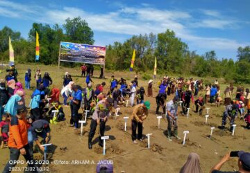 APLP Lestarikan Mangrove di Pesisir Desa Galumpang